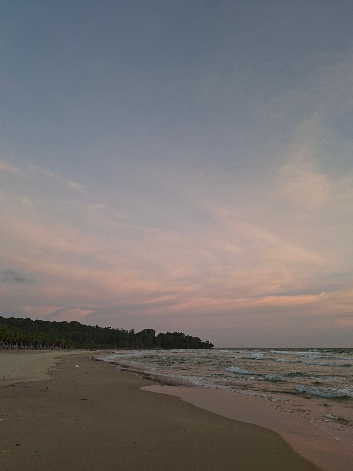 Dusk settles over a palm-lined beach at golden hour.