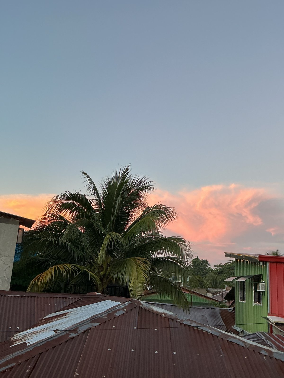 Davao City sunset evening at home, cats and all