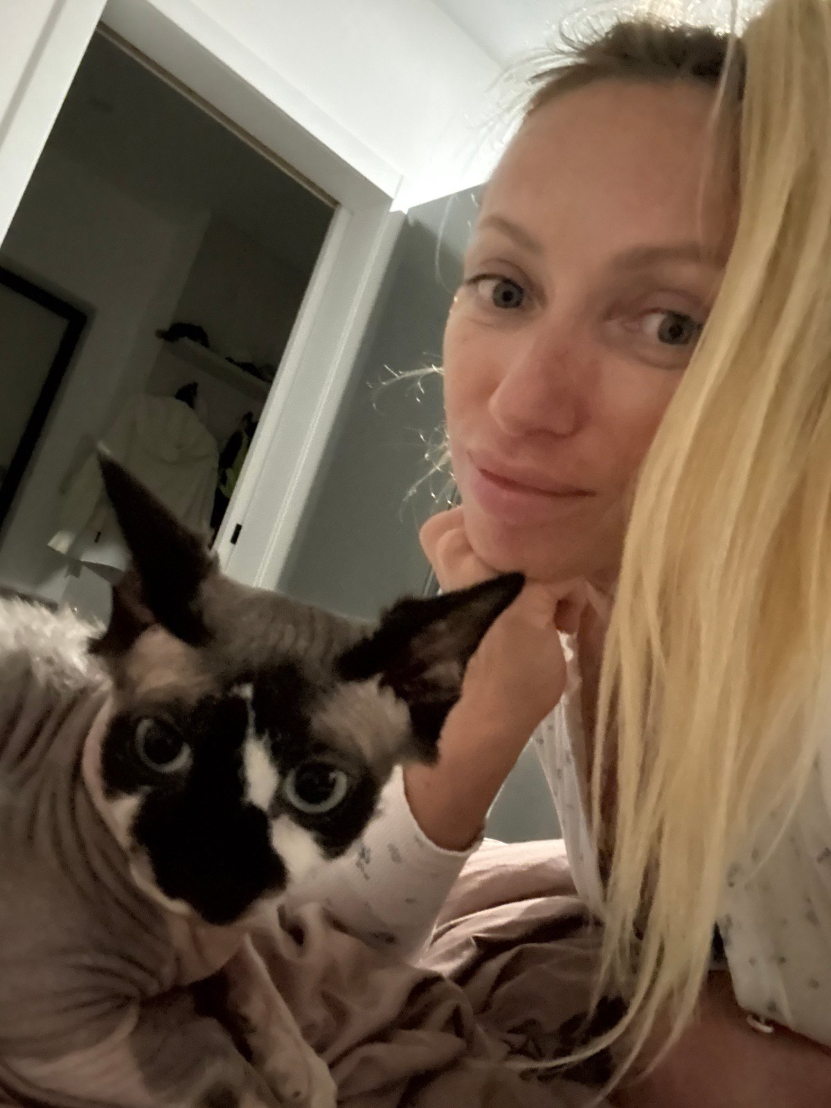 Lazy evening in Sochi with a Sphynx cat