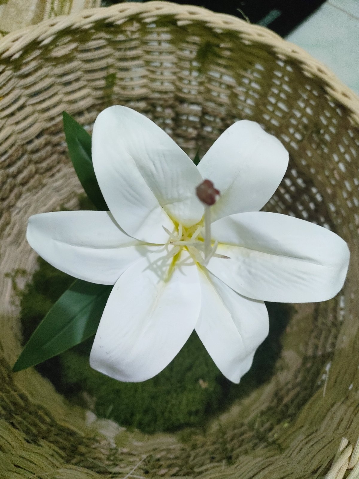 Styled floral and ring arrangements on moss, shot close-up