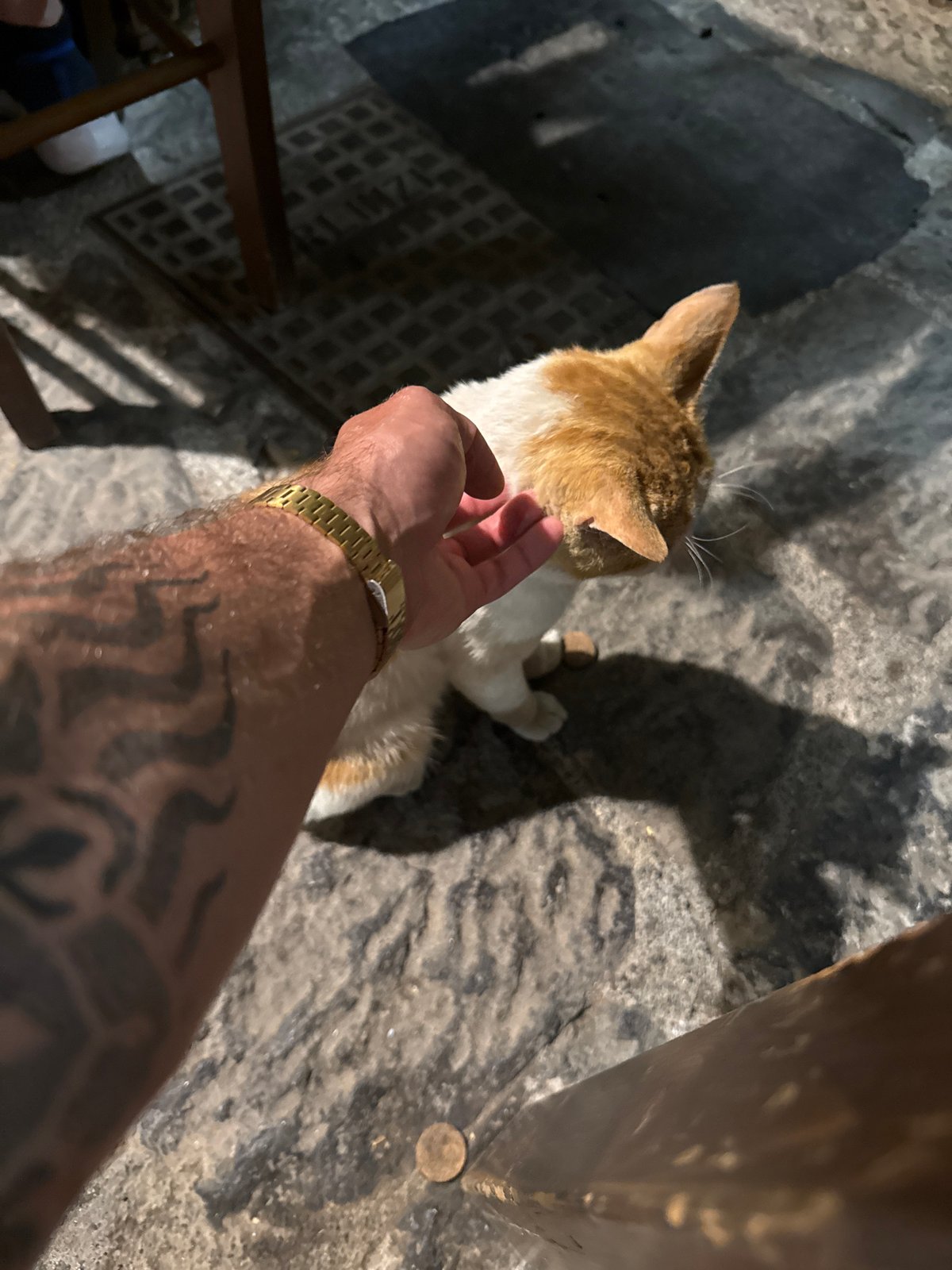 Street life moments captured across Catania's urban landscape