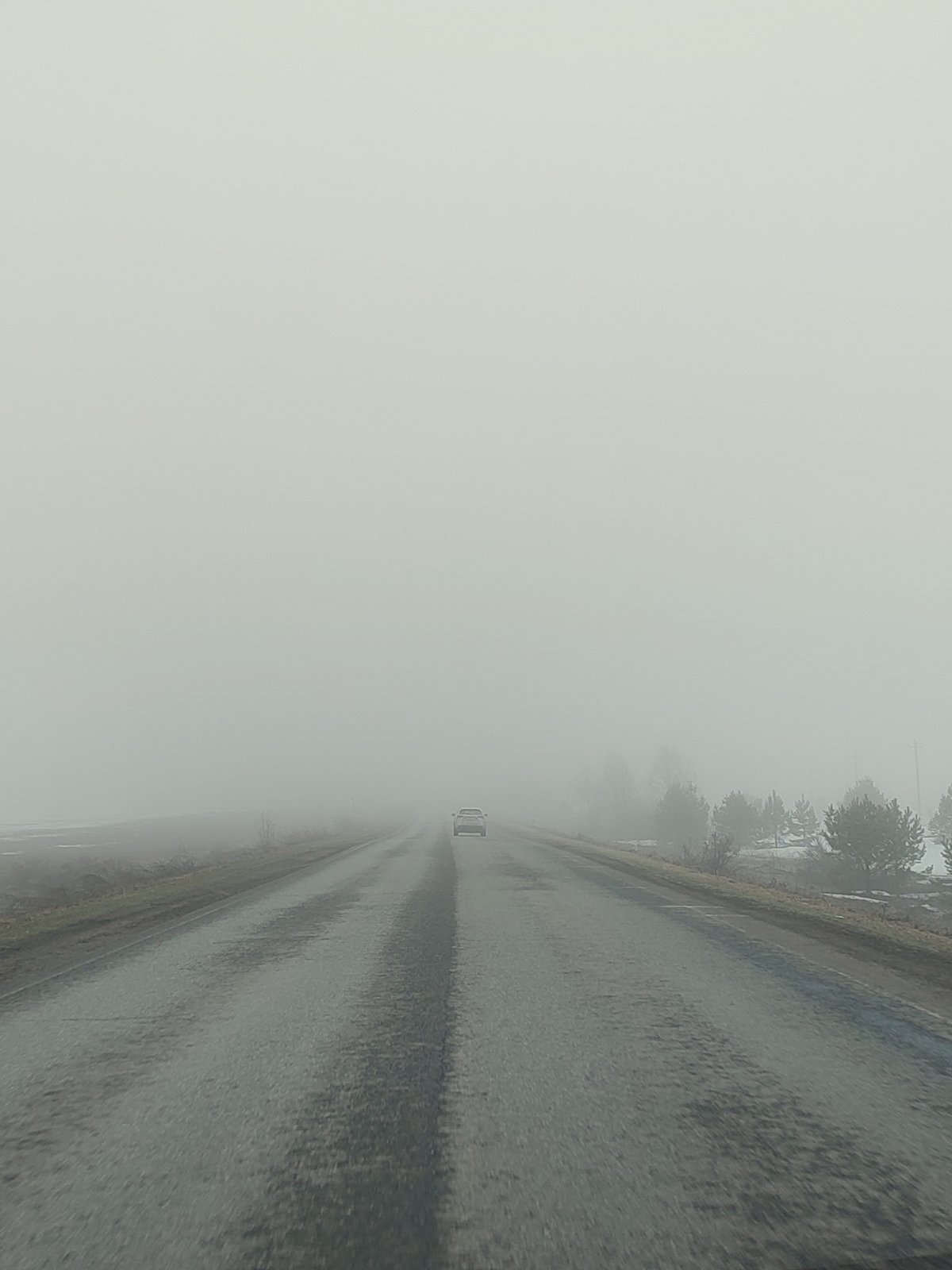 Heavy fog reduces visibility on wet road near Nechkino