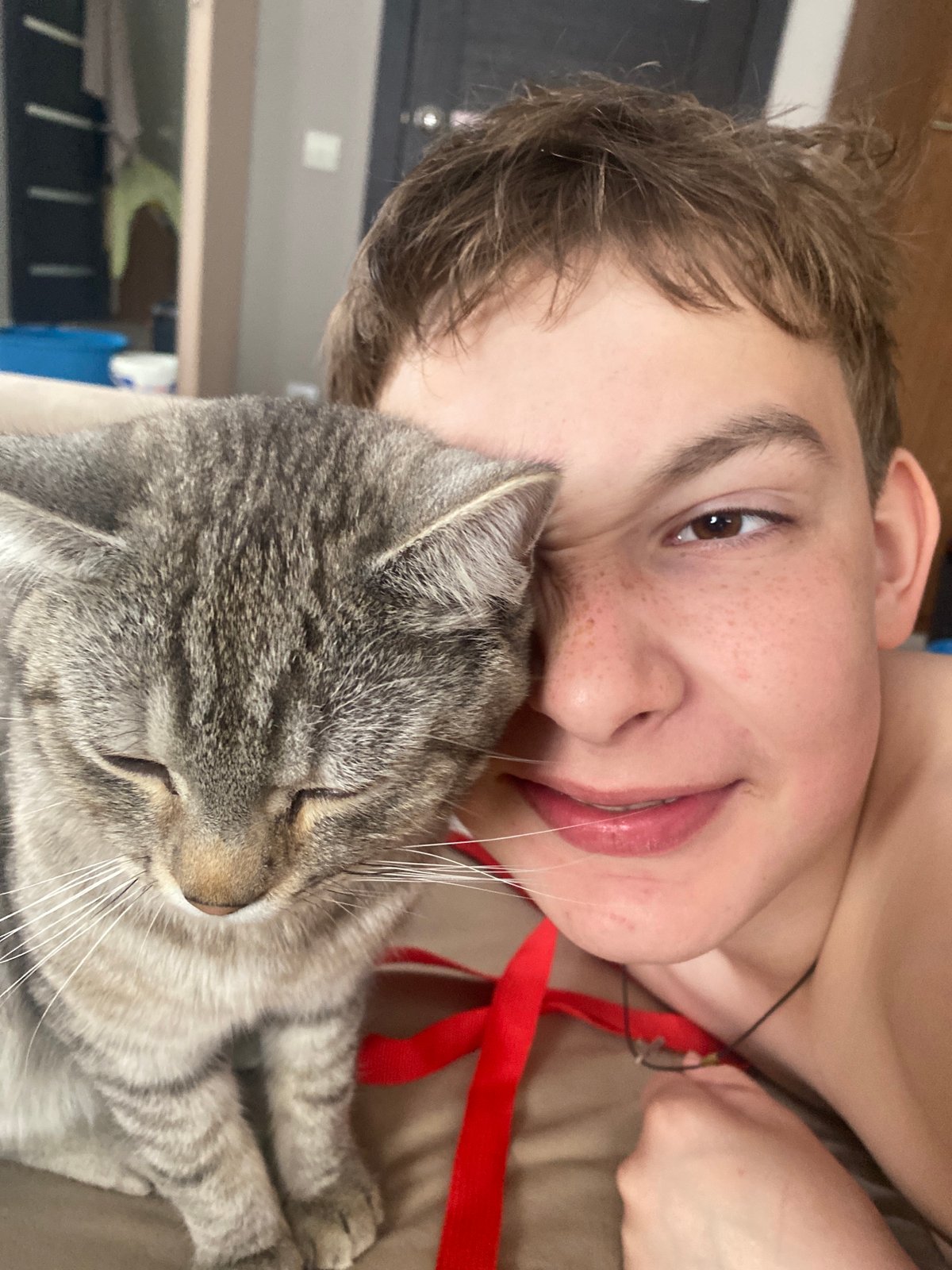 Young person shares quiet moment with gray tabby cat
