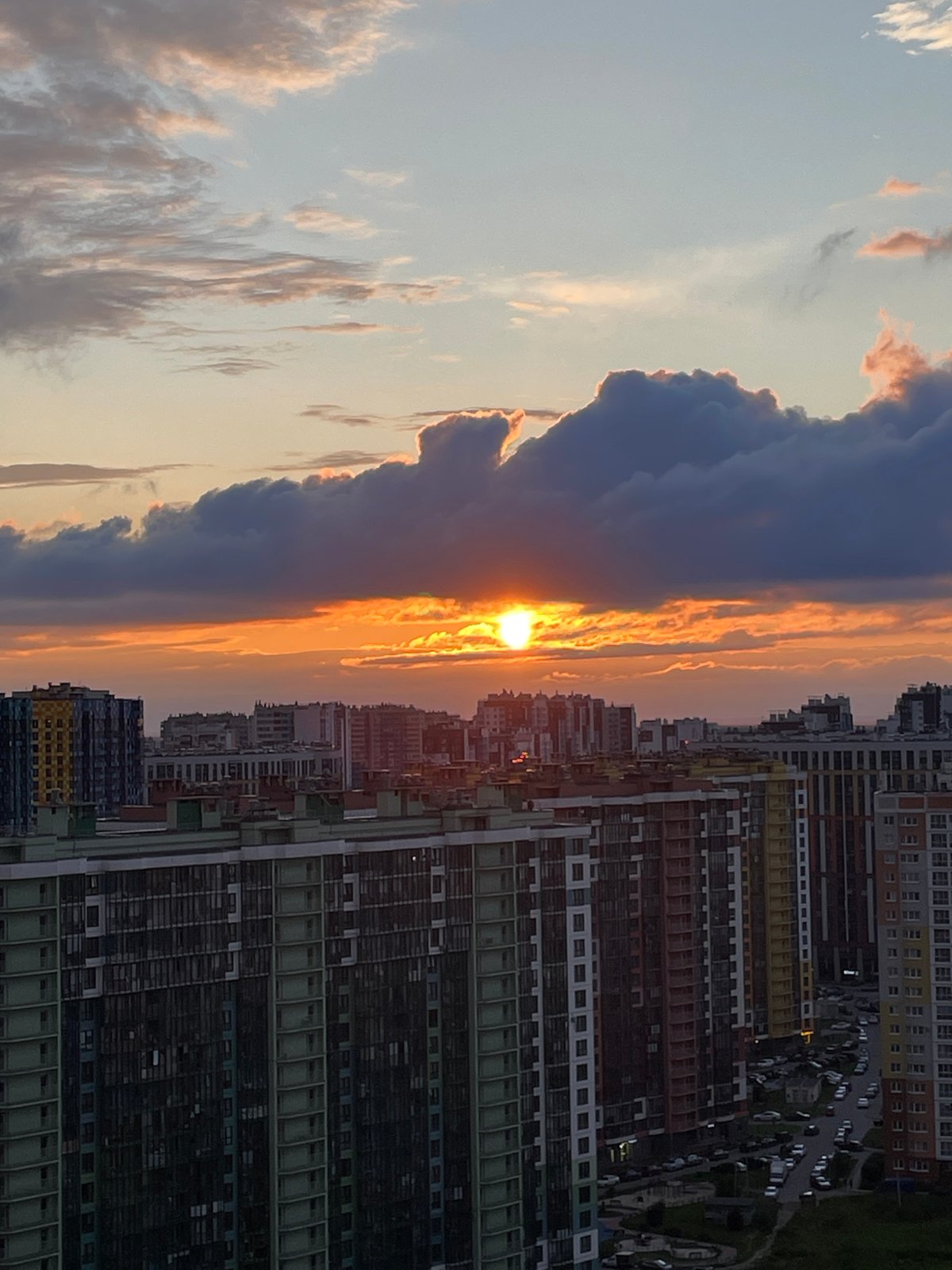 Sunset over a Russian city, a cat indoors, plants on the sill