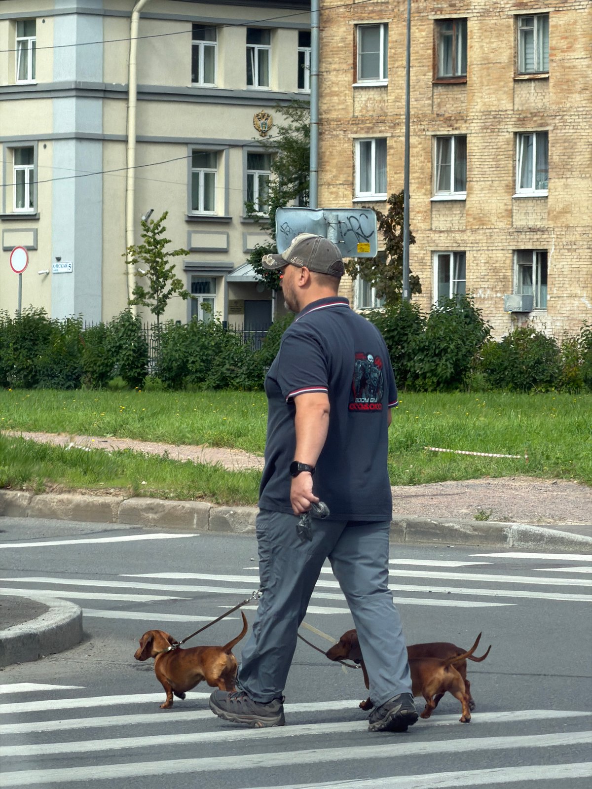 Two dachshunds crossing a Saint Petersburg street mid-morning