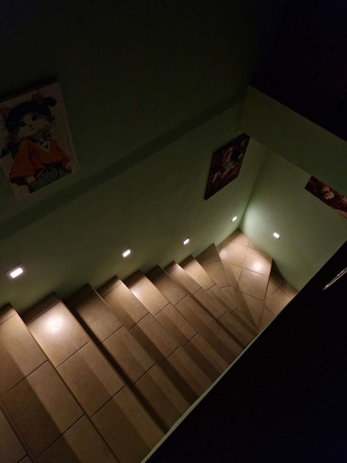 A quiet Lviv evening: wet streets, a tabby cat, and small objects at home