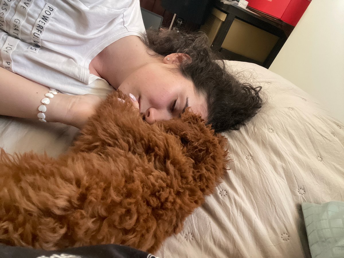 Woman rests with small dog holding toy carrot in Sofia
