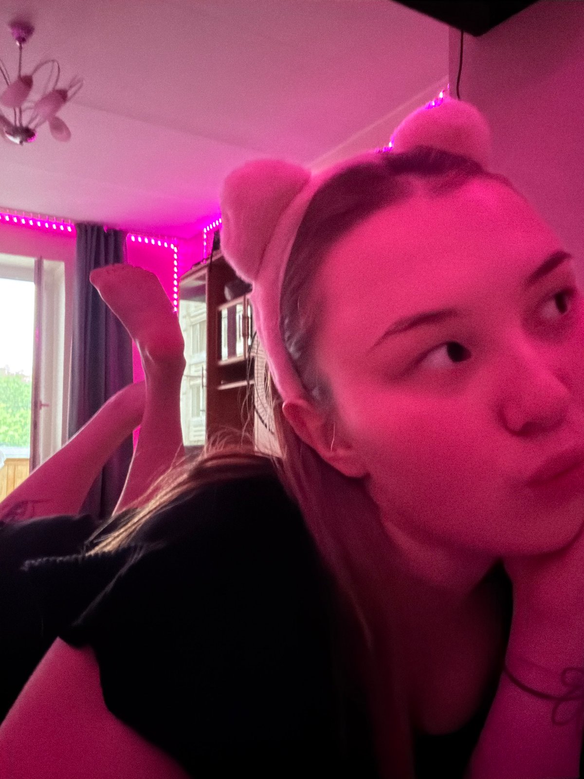 Indoor portraits and cat photos captured in pink-lit room