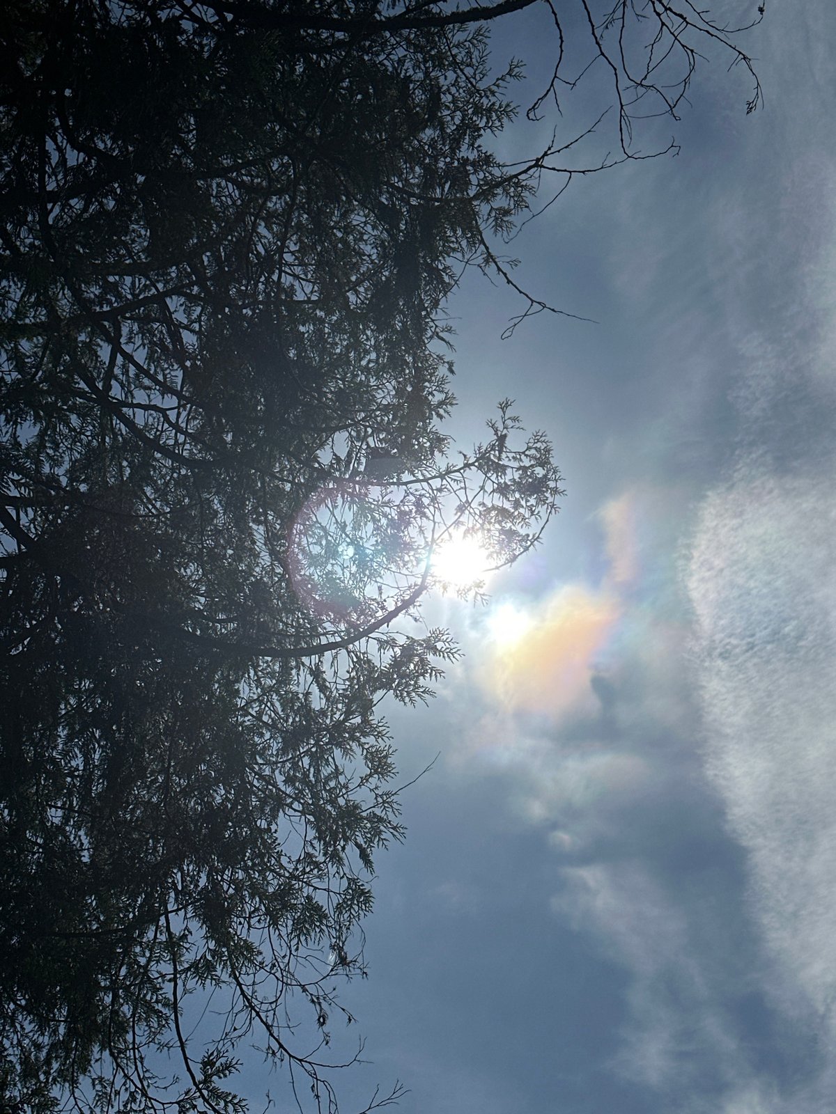 Bright afternoon skies observed in New Westminster