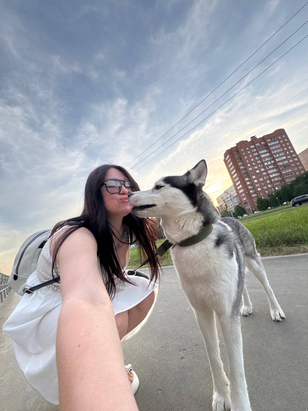Woman walks playful Husky through city, takes selfies together