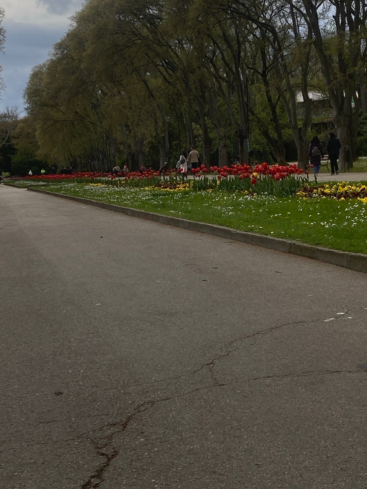 Spring afternoon documented across parks and streets in Varna