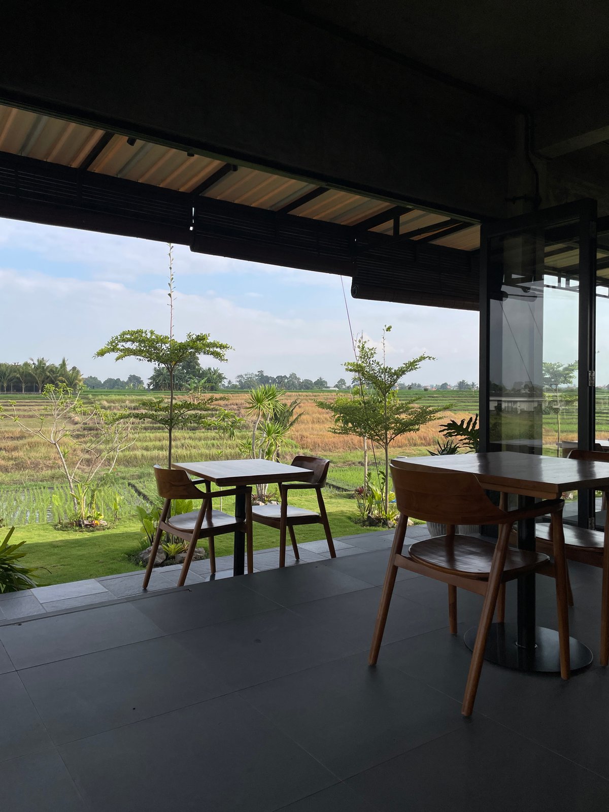 Rice paddy cafe views and a coffee stop in Kediri