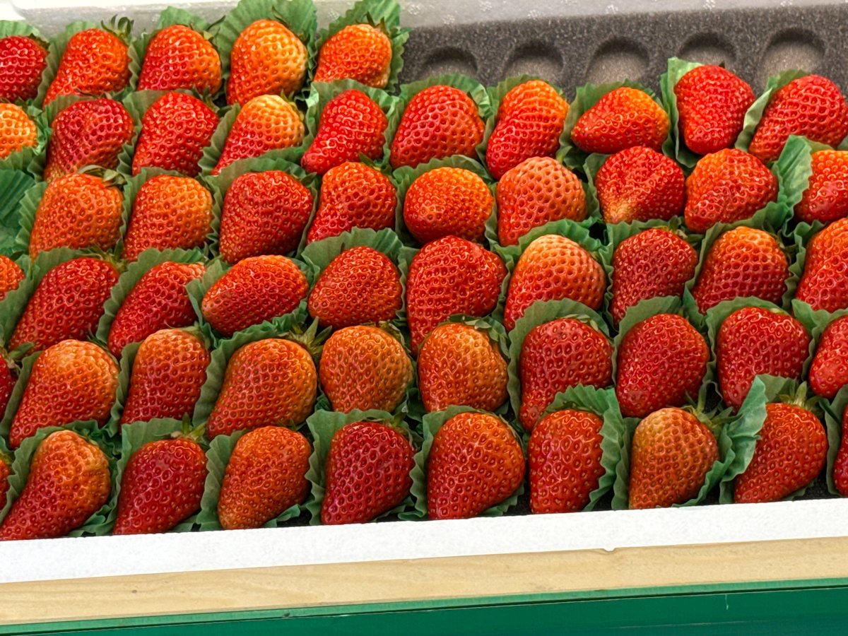 Late night documentation captures ordinary Vladivostok moments May 21