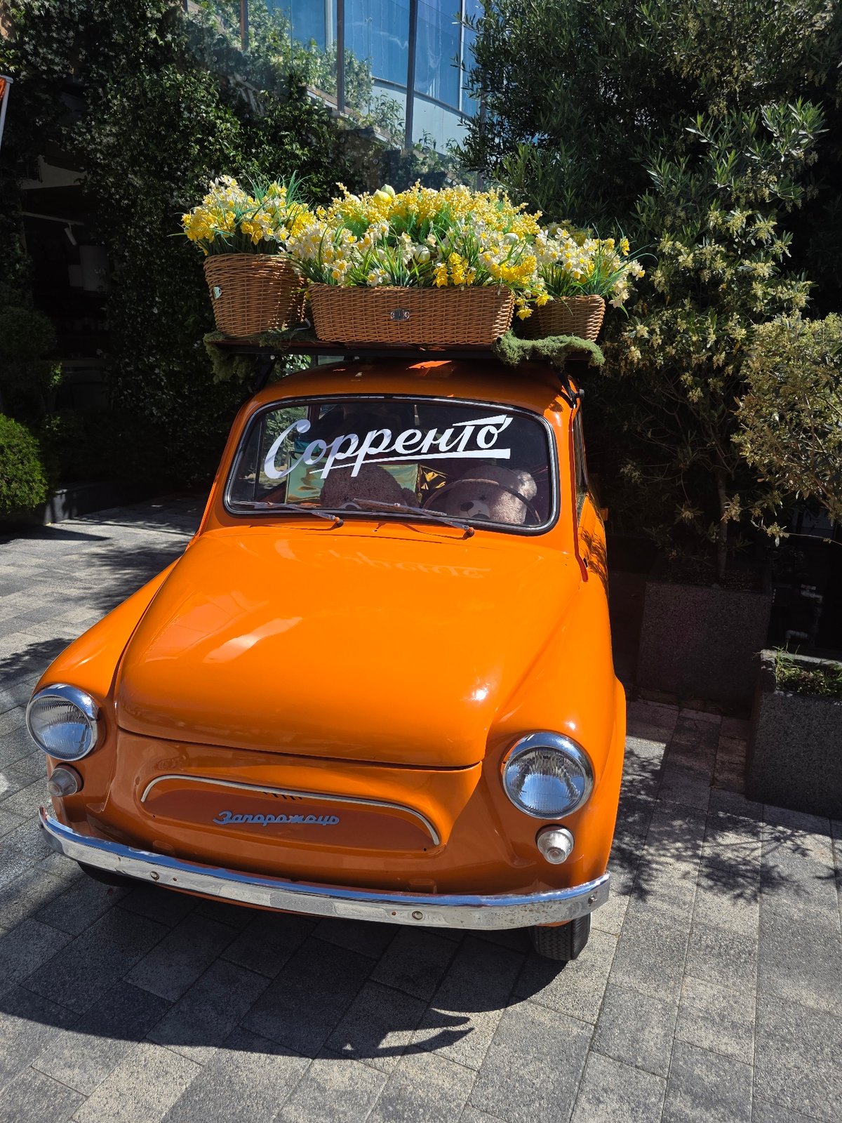 Morning stroll through Sochi's commercial waterfront captured in 17 memories