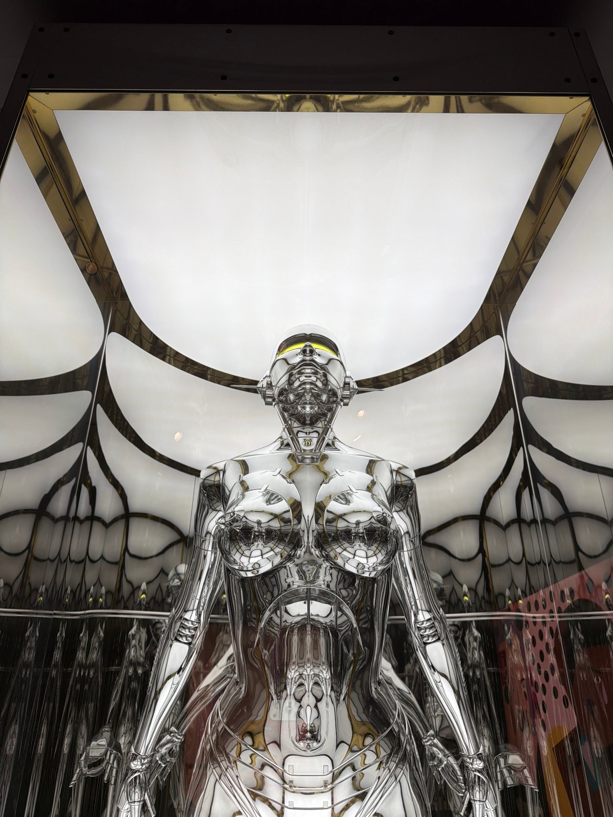 Contemporary art collection documented in Amsterdam gallery space