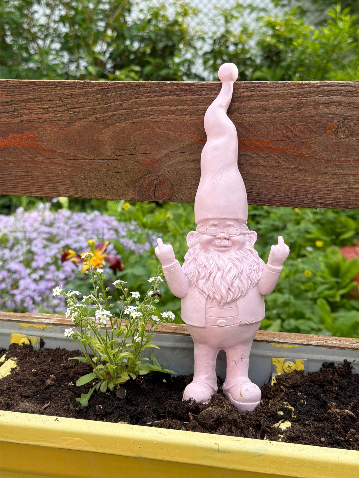 Garden gnome found lying in flower box in Bulgaria