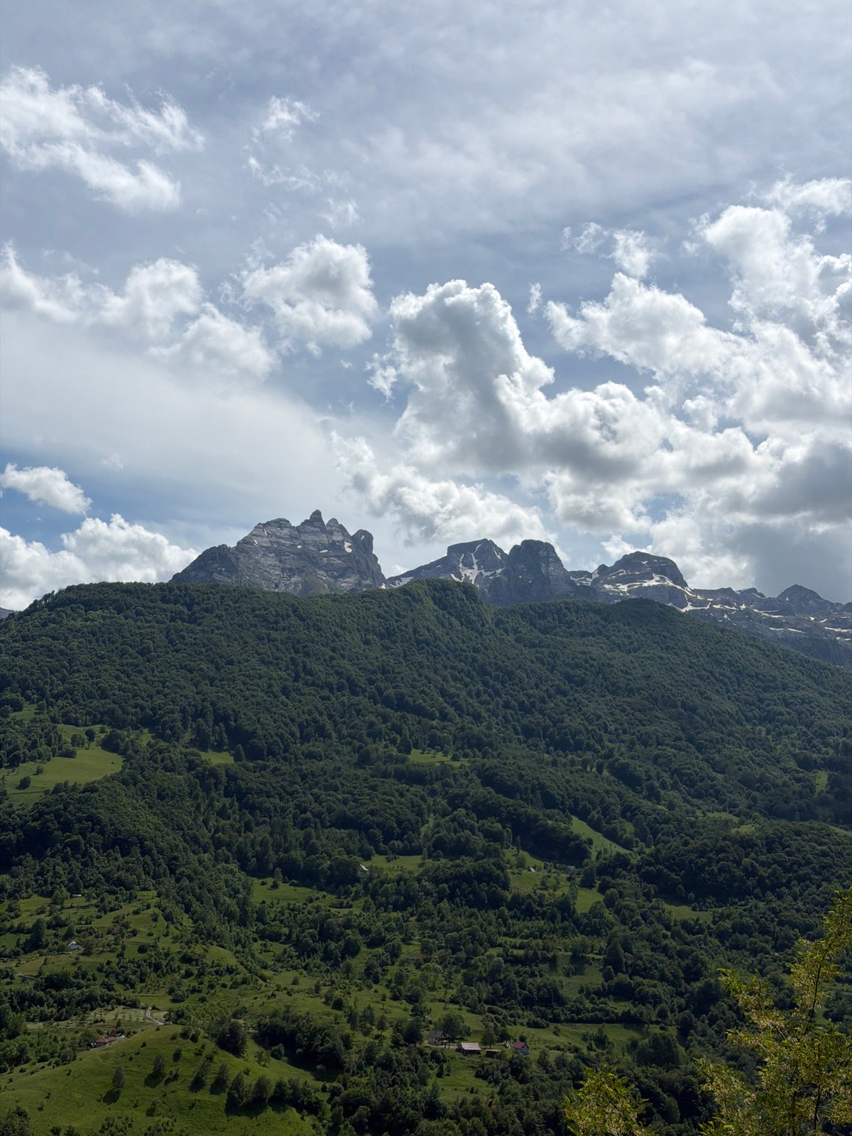 Landscape documentation captured in Dragovića Polje, Montenegro