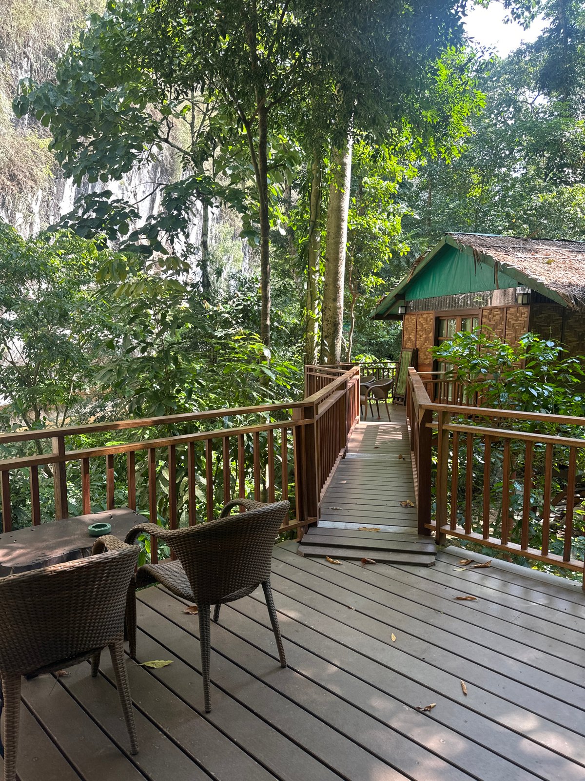 Tourist captures scenic Khlong Sok rainforest and limestone formations
