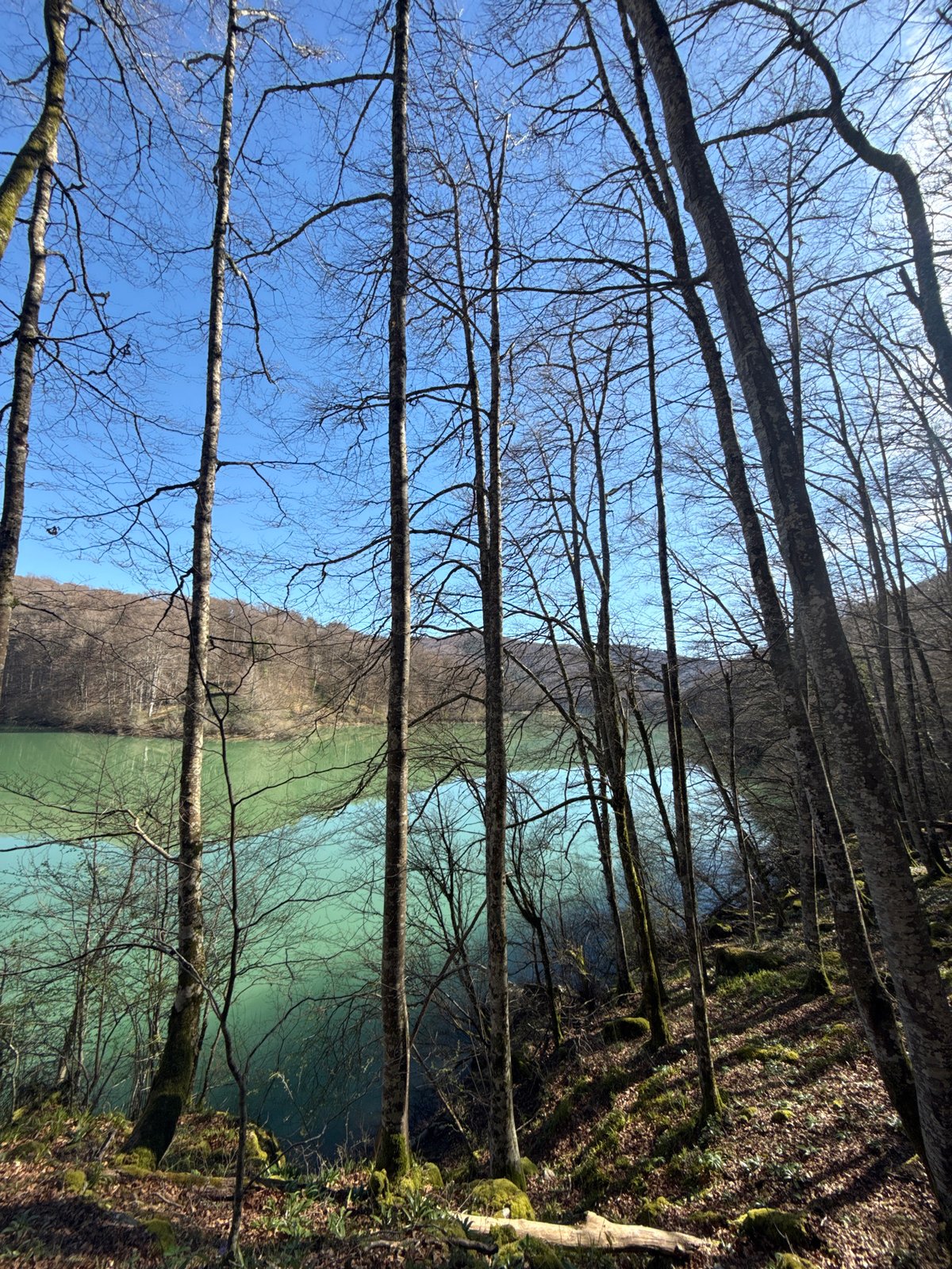 Turquoise river flows through forest near Orbaizeta, Spain