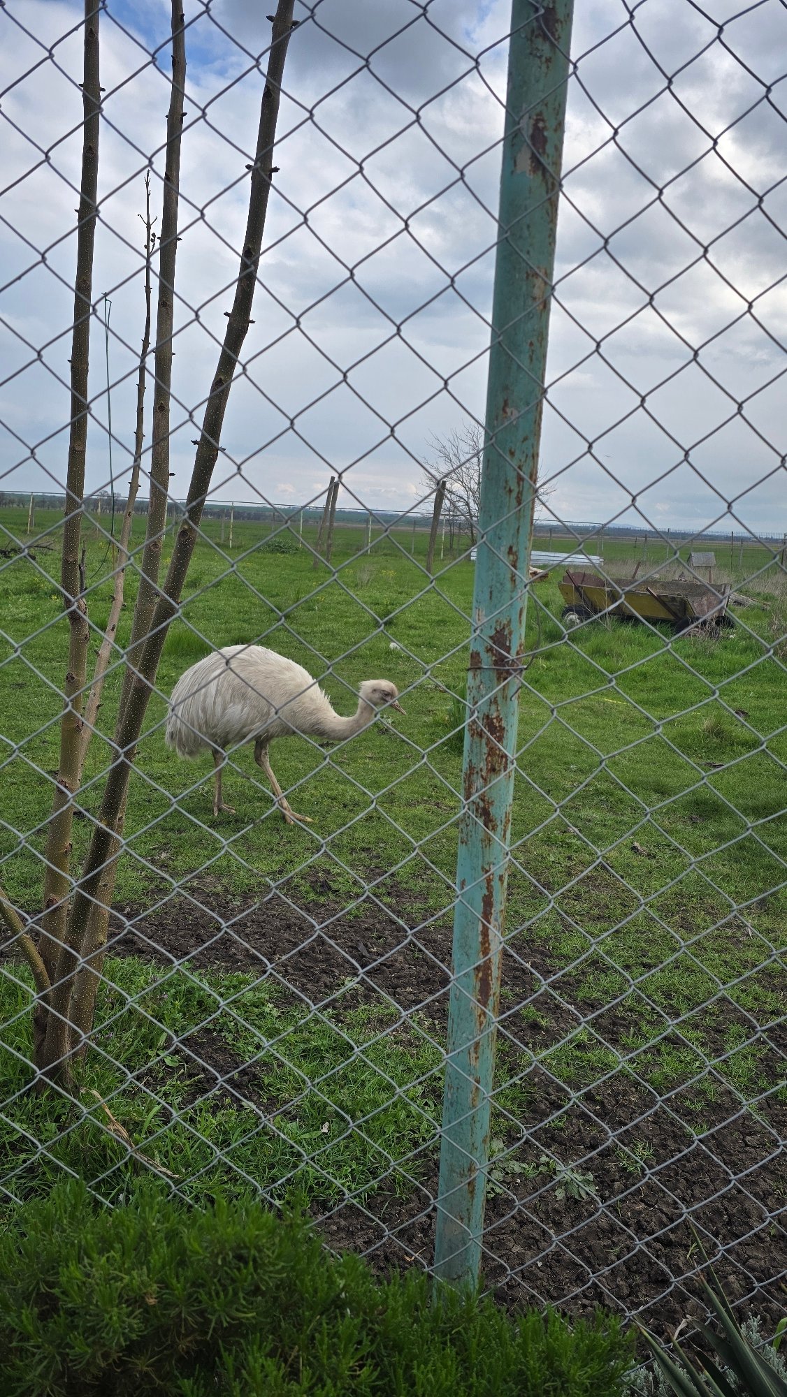 Visitor documents animals and water features at Burgas Zoo