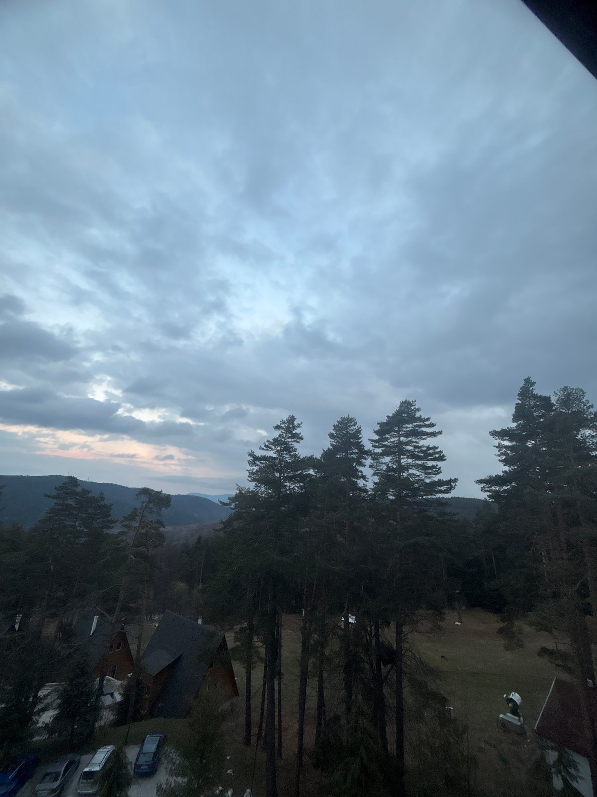 Cloudy landscape with evergreen trees documented by witness