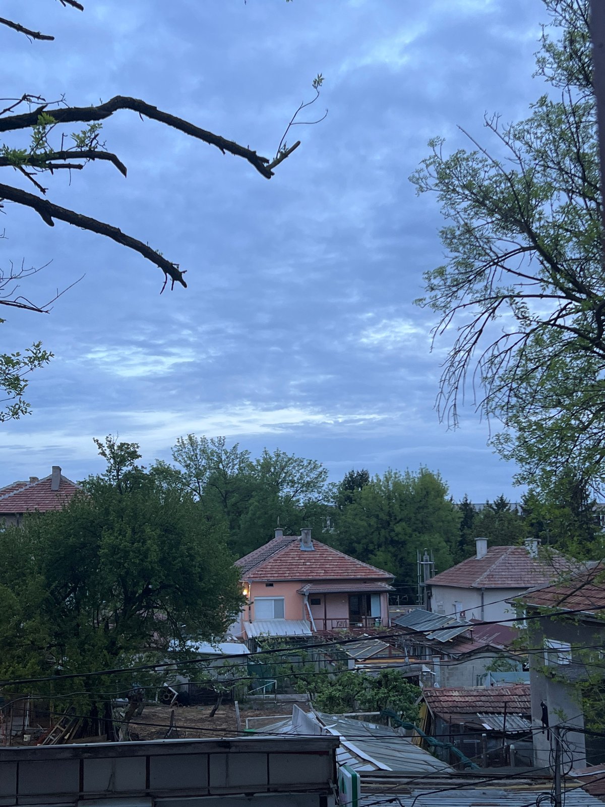 Spring foliage captured in early morning street scene, Dobrich