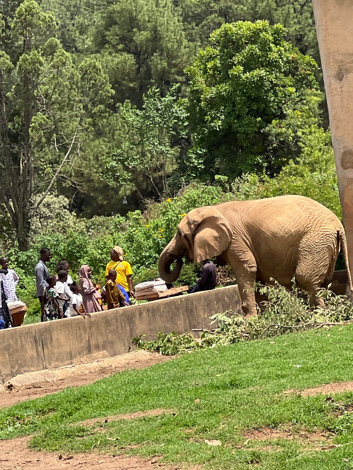 Visitors document wildlife encounters at Jos Wildlife Park