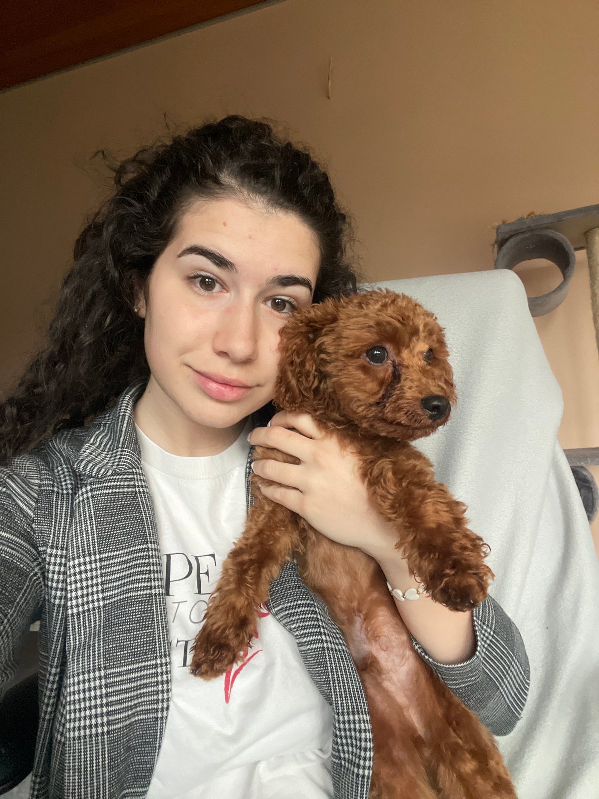 Woman plays with poodle in early morning Sofia apartment