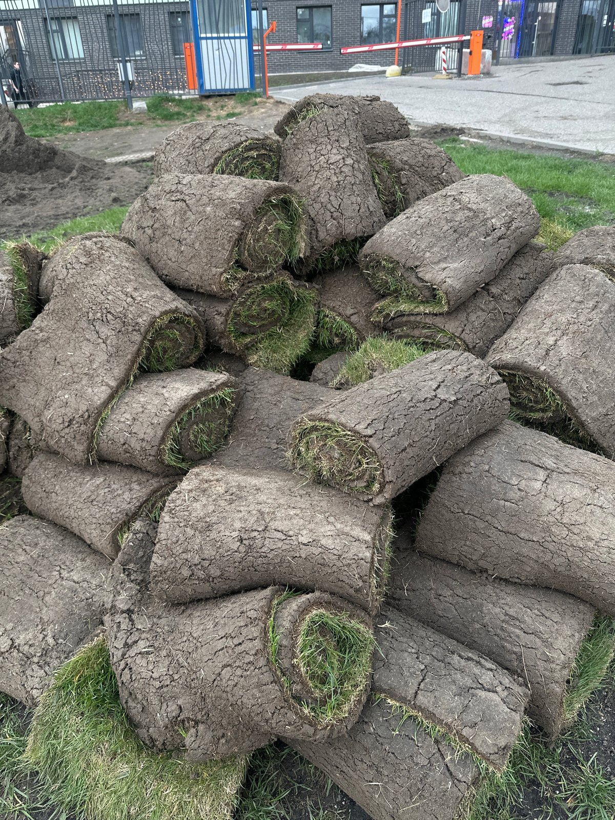 Stacked sod rolls observed in Moscow landscaping site