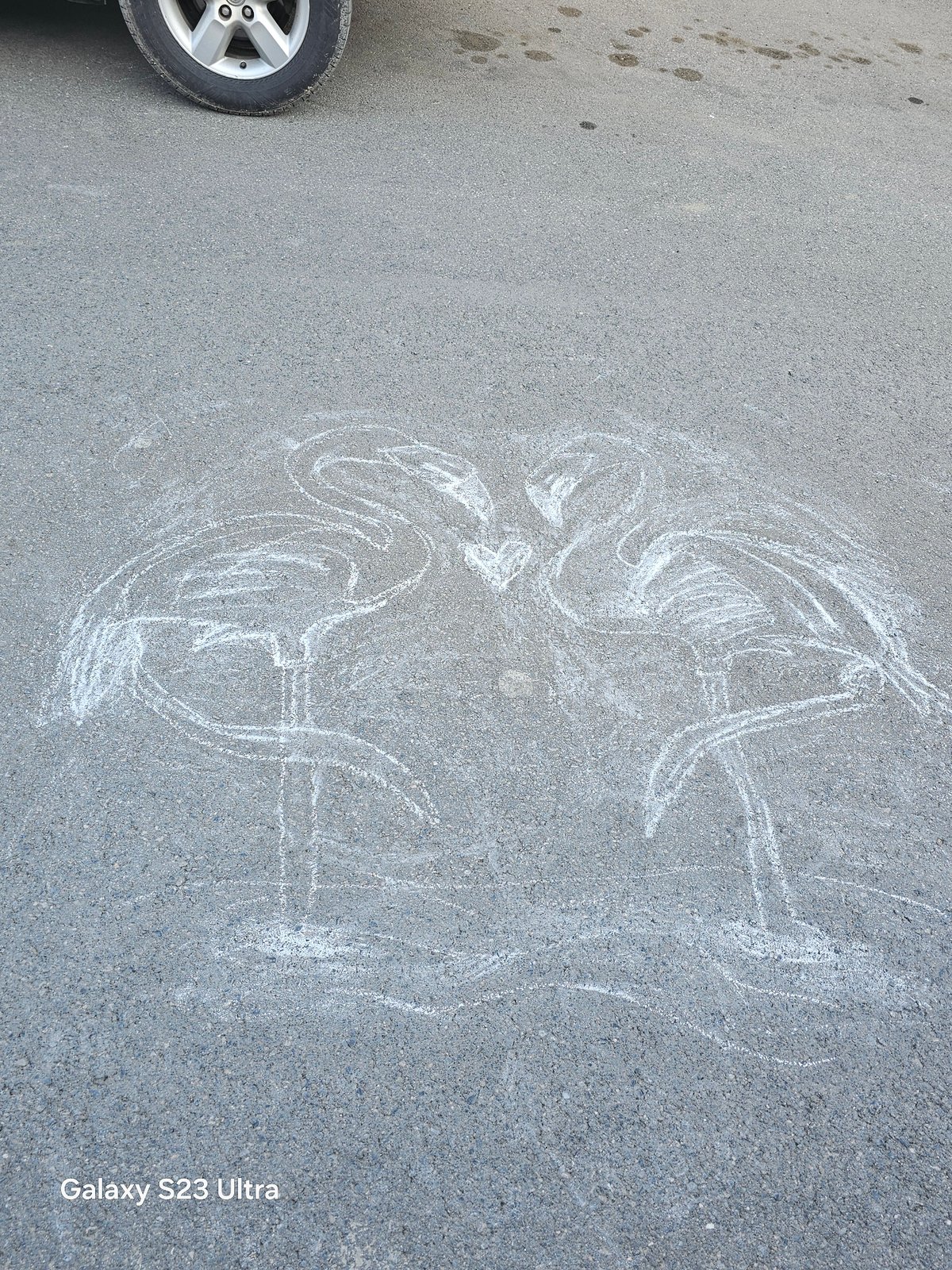 Street observations documented in Karnobat include chalk drawings, toy car