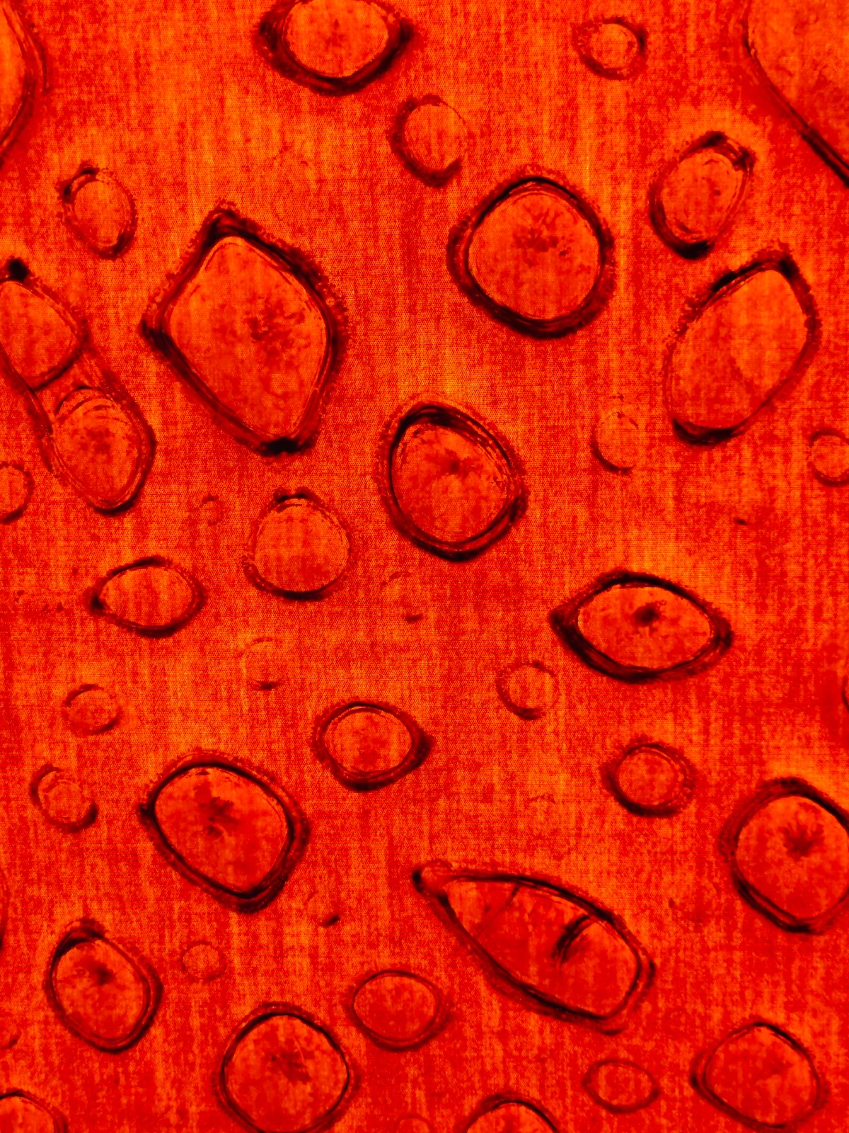 Abstract orange surface with dark shapes photographed in Finike