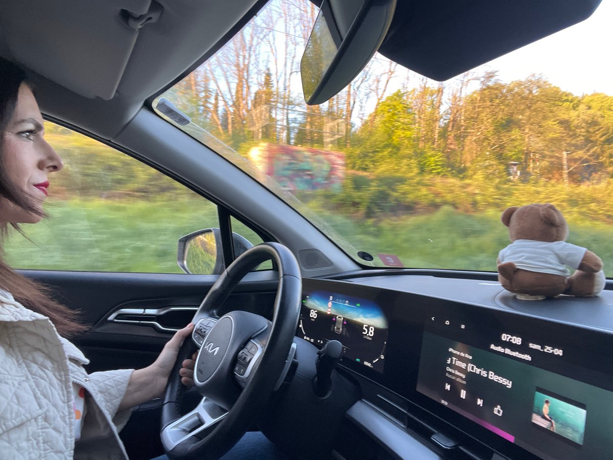 Early morning drive captured near Wasserliesch, Germany