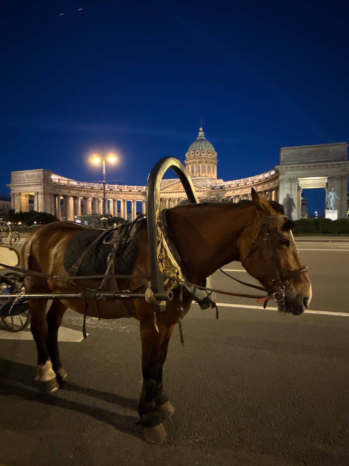 Horse-drawn carriage spotted on Saint Petersburg street at night