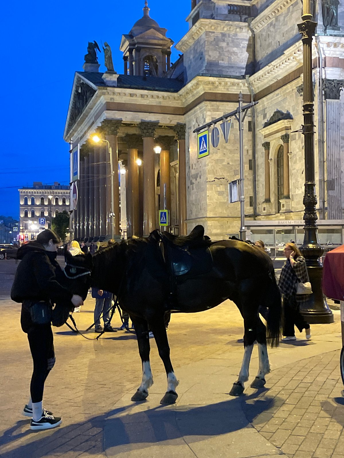 Evening horse carriage scene witnessed on cobblestone city streets