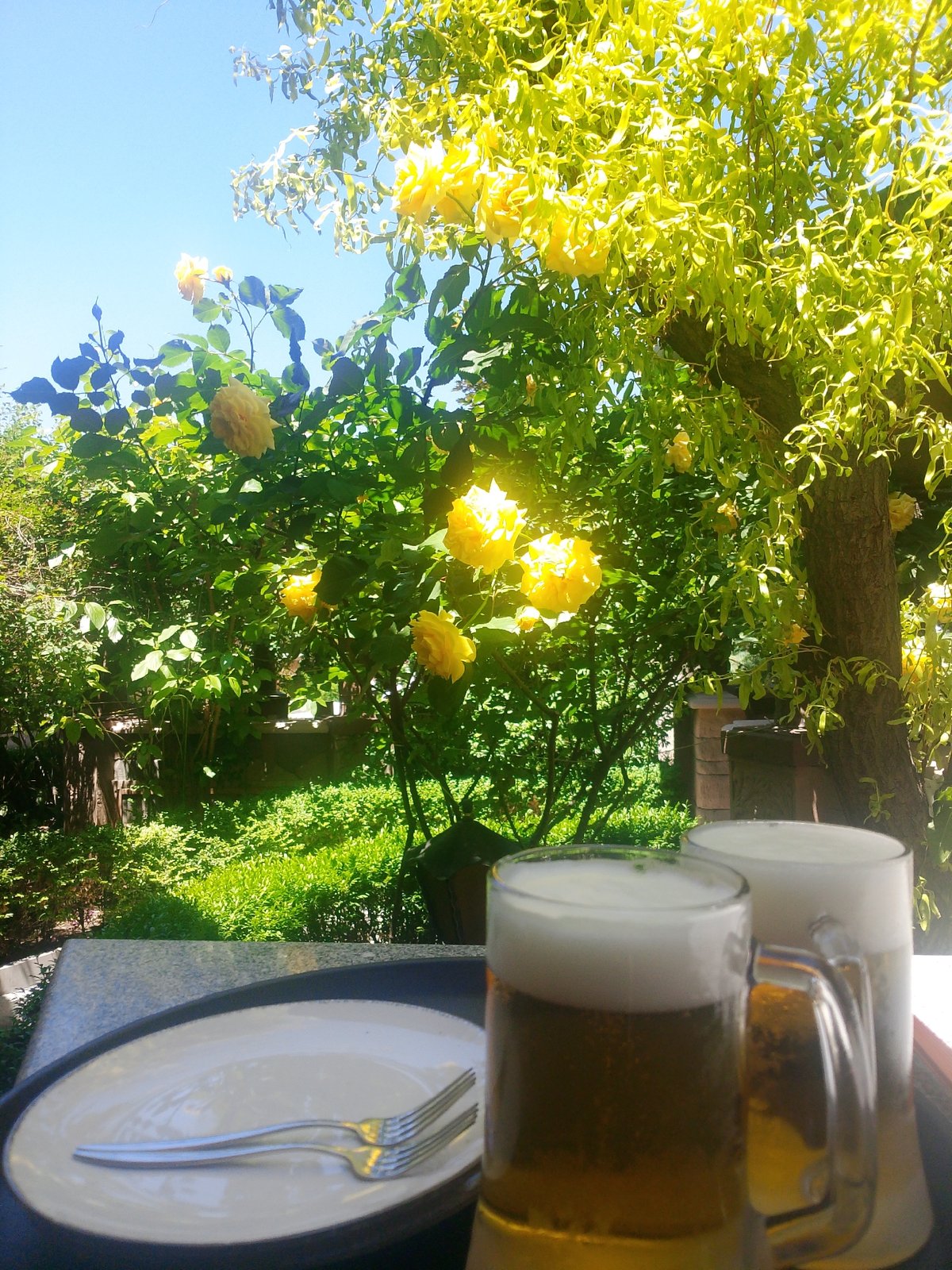 Morning garden cafe scenes documented in Yerevan, Armenia