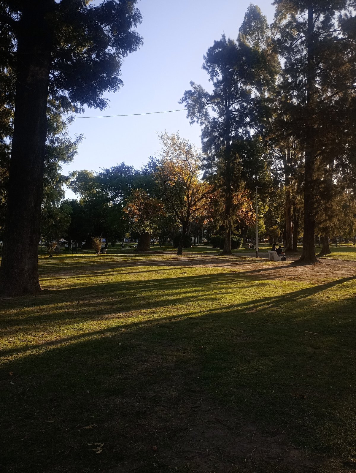 Group performs synchronized dance routine in Villa Domínico park