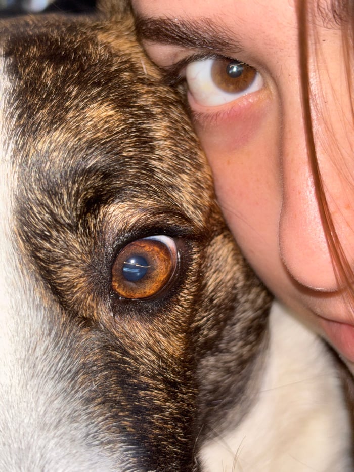 Woman poses with dog for social media photos in Ramat HaSharon