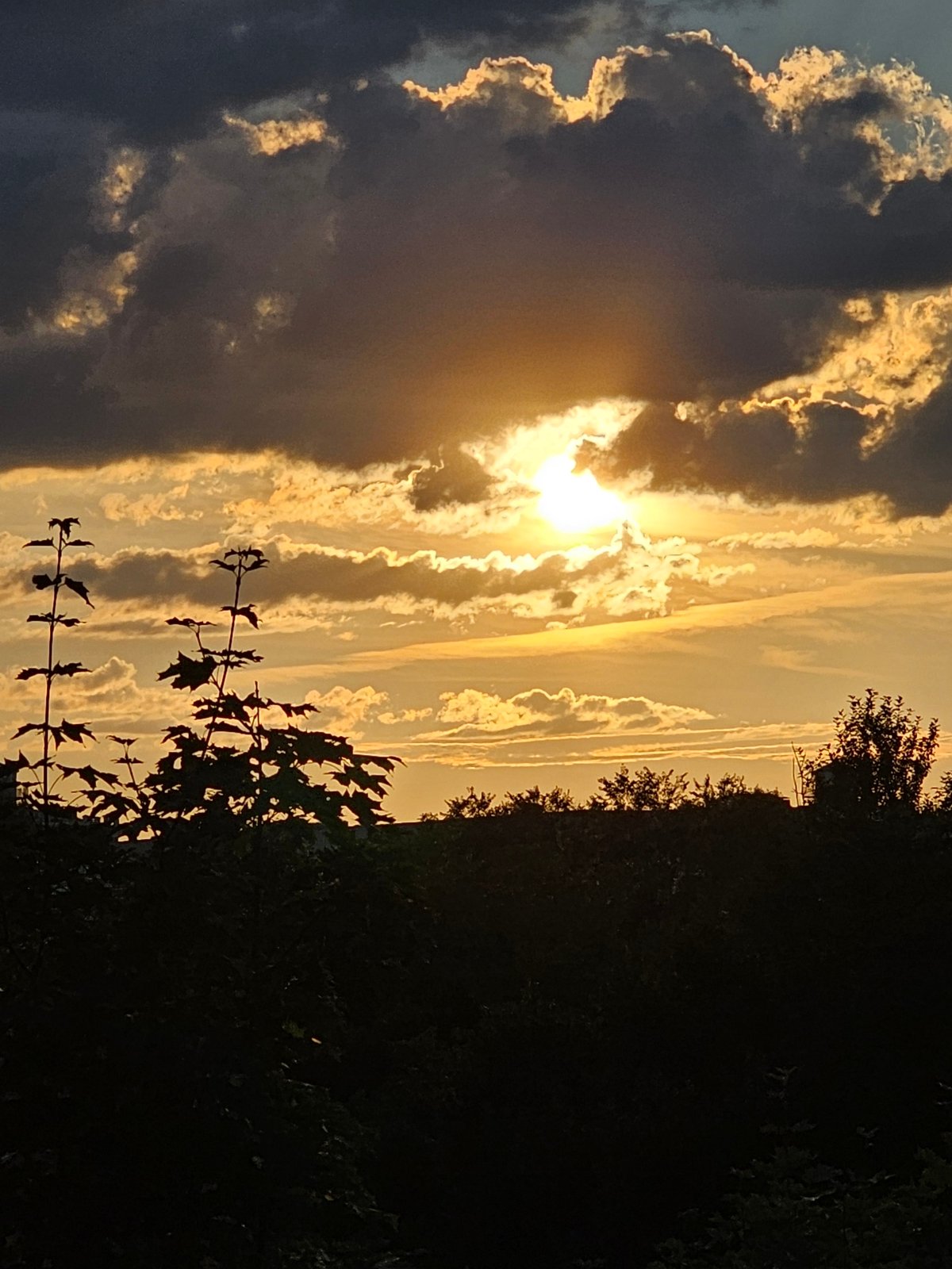 Khimki sunset skies and ornate decorative boxes, one evening