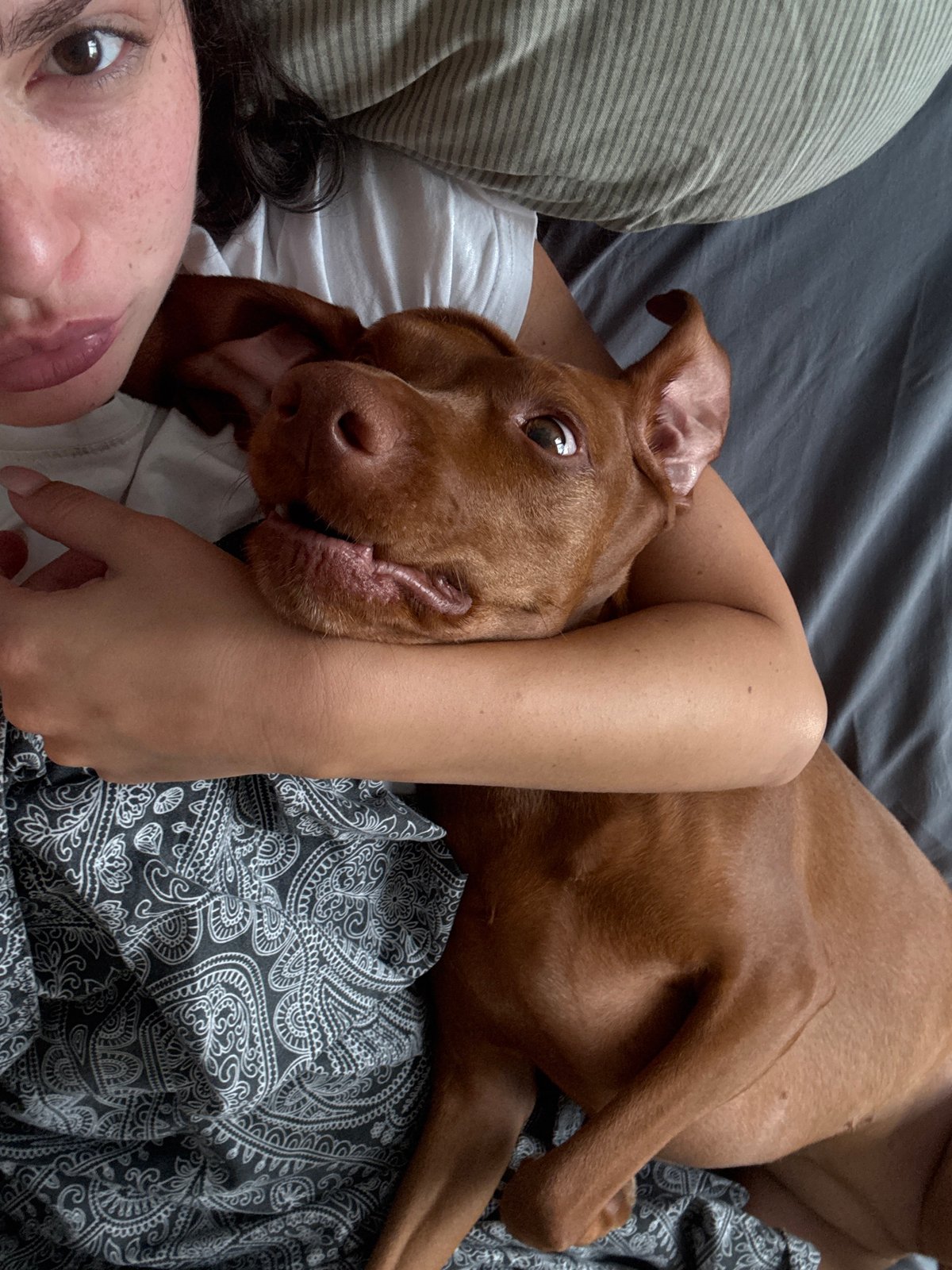 Morning cuddle session with dog documented in Sofia