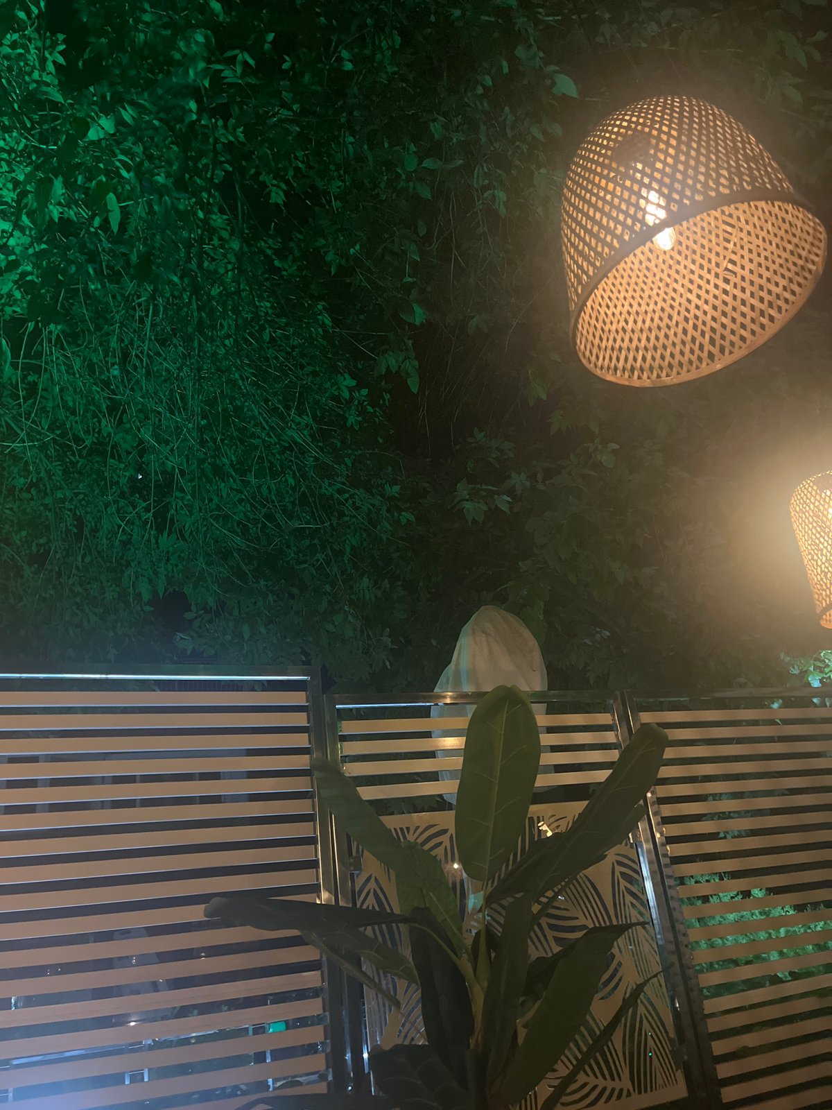 Nighttime patio scene with decorative lighting and greenery