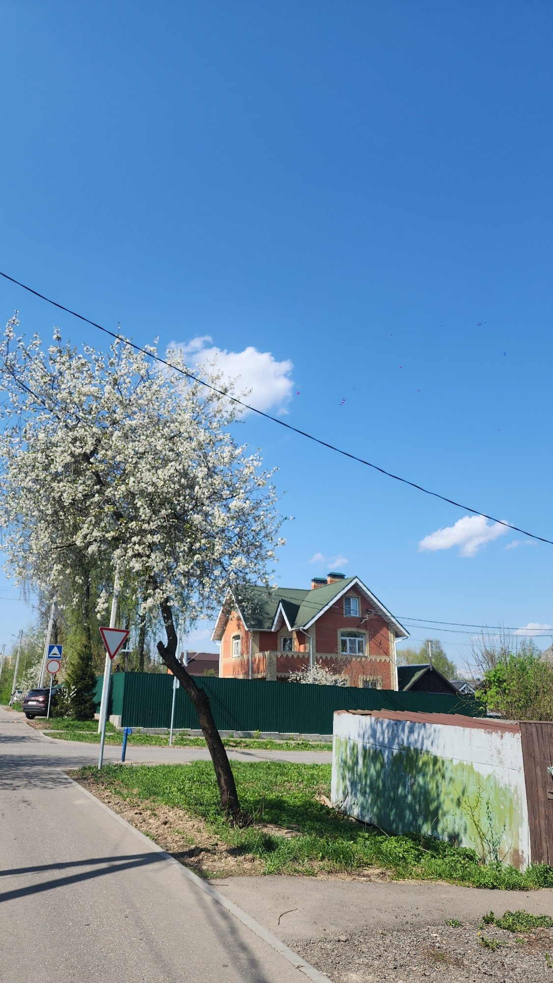 Spring blooms and wooden houses captured in Moscow neighborhood walk