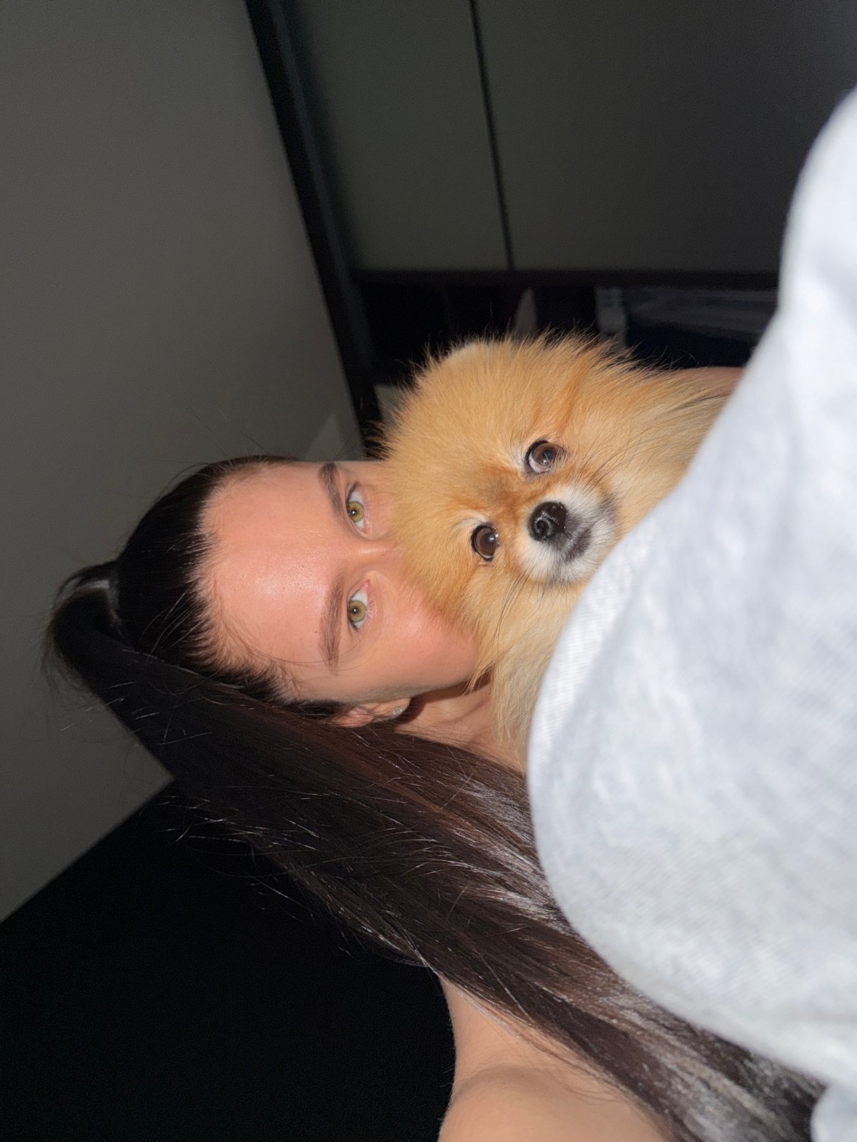 Woman documents quiet evening with Pomeranian dog in Khimki