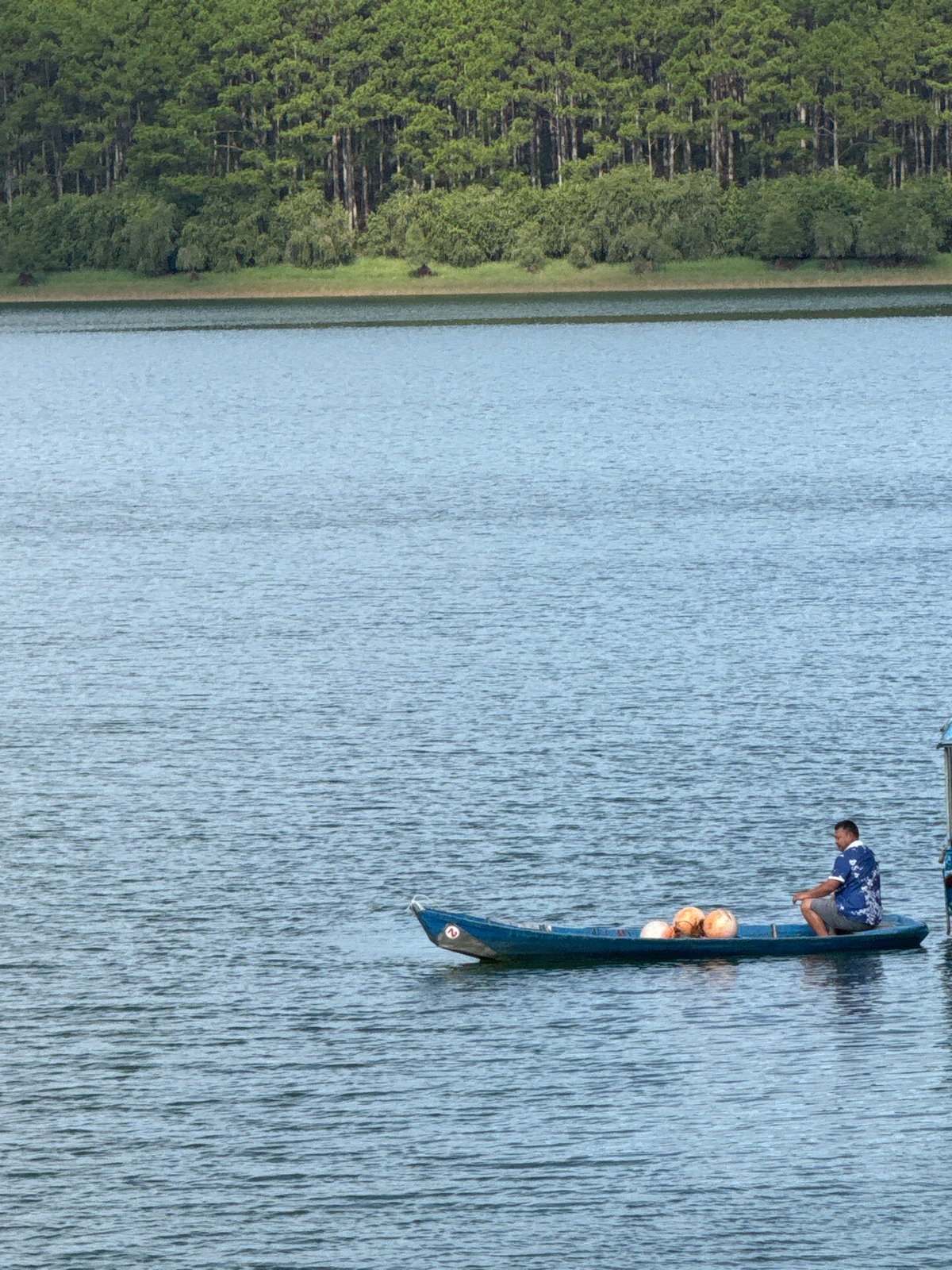 Da Lat temples, lakeside scenes, and flower gardens on a June morning