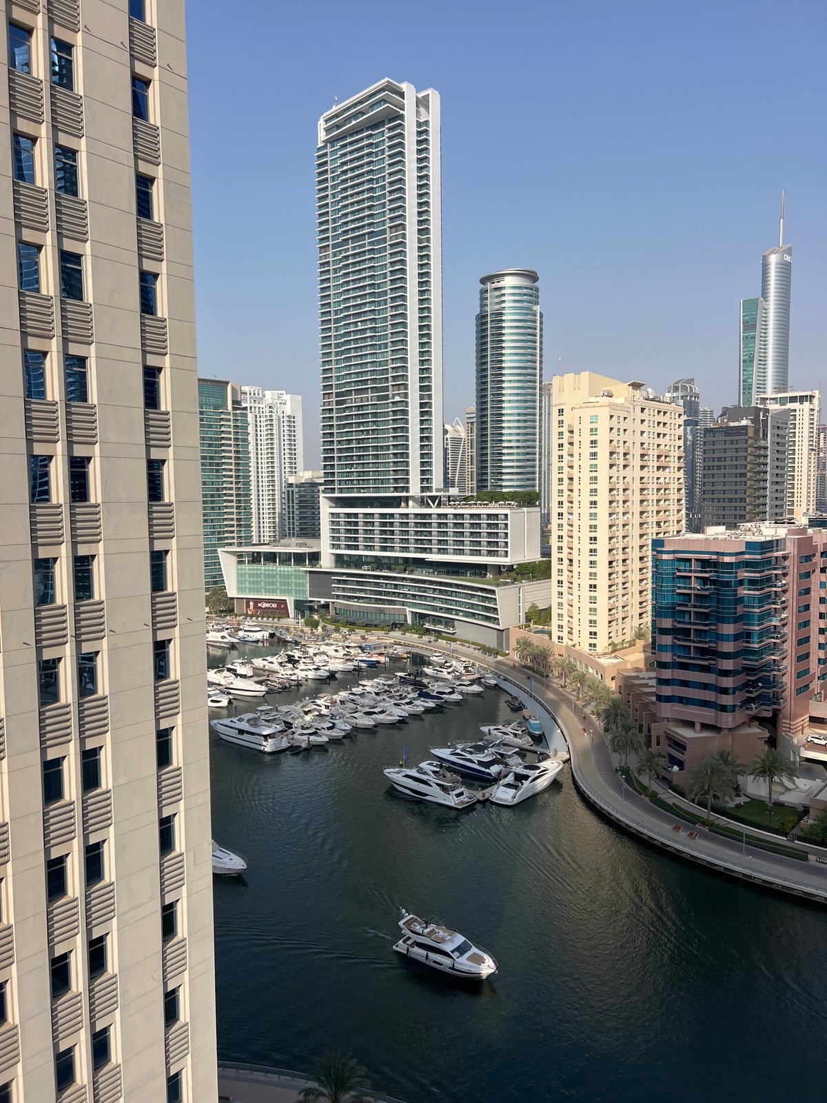 Dubai Marina packed with white yachts on a clear day