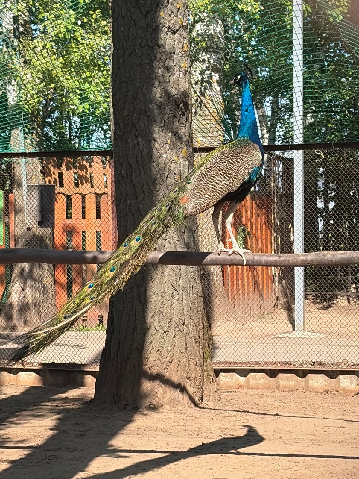 Family enjoys morning outing at Chaikovsky amusement park
