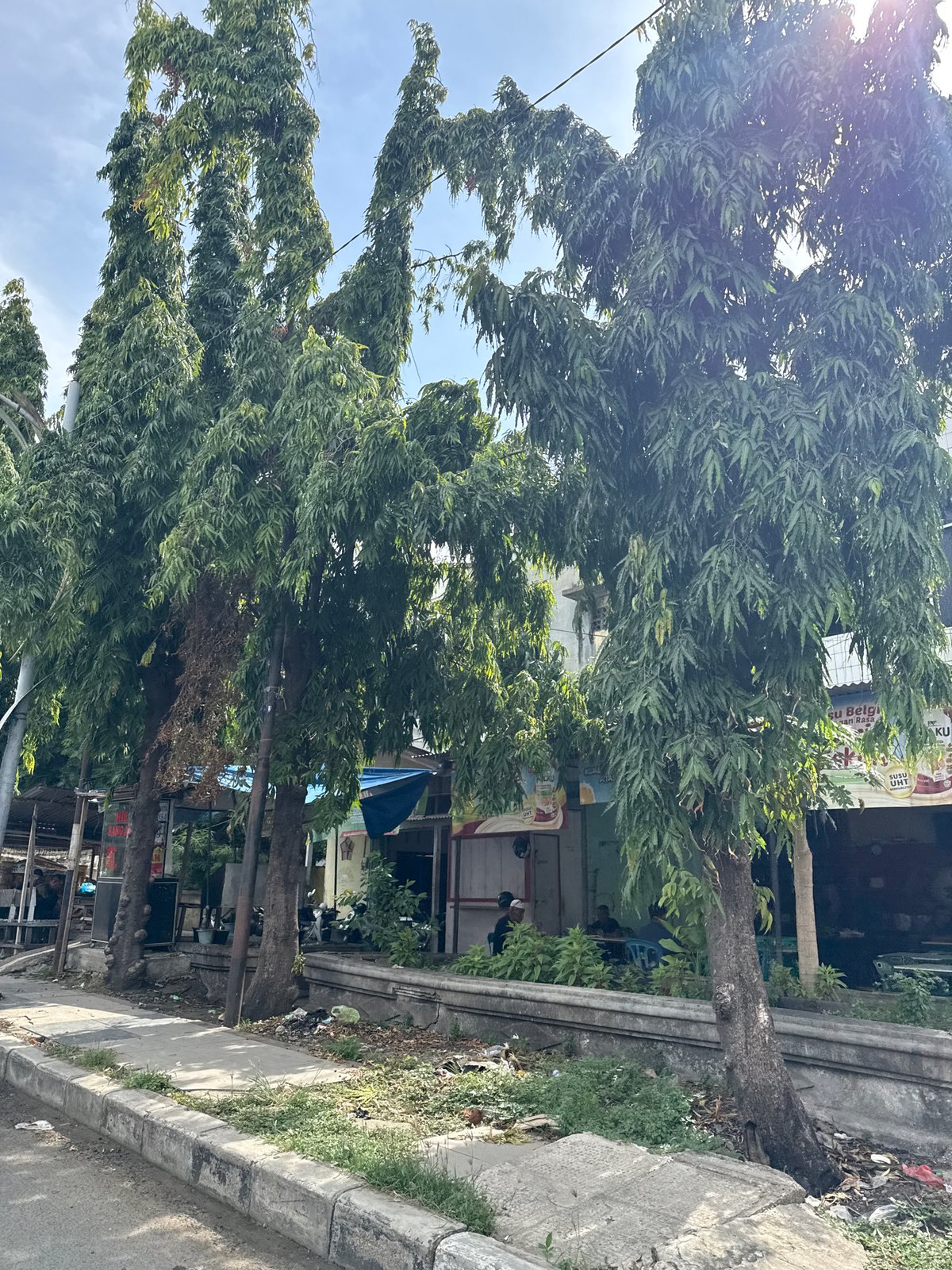Morning snapshots of daily life in Lhokseumawe, Indonesia
