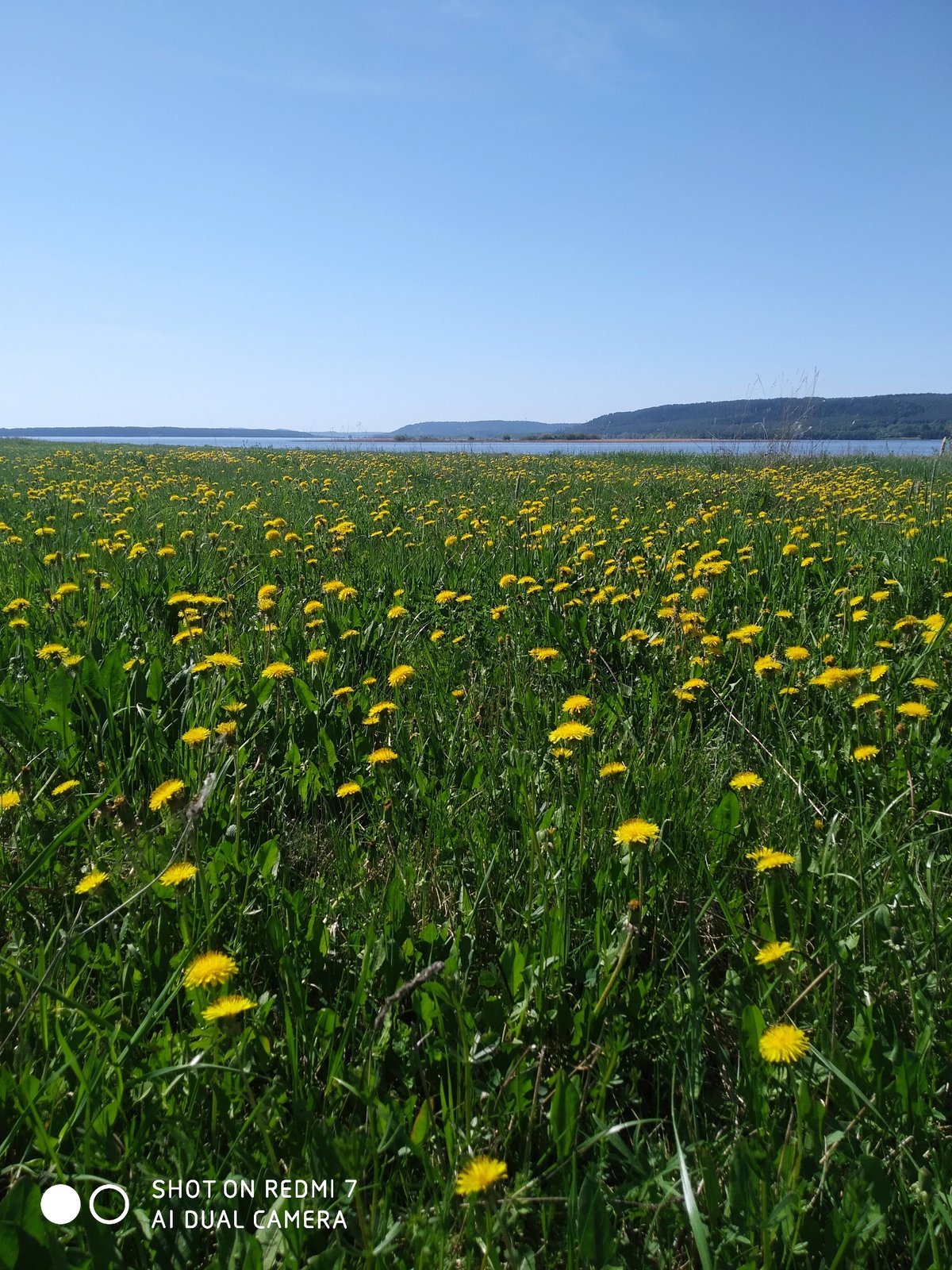 Morning nature observations documented in Okhansk, Russia