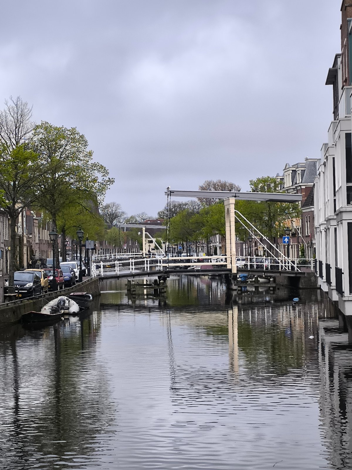 Egyptian goose spotted on canal buoy near Alkmaar drawbridge