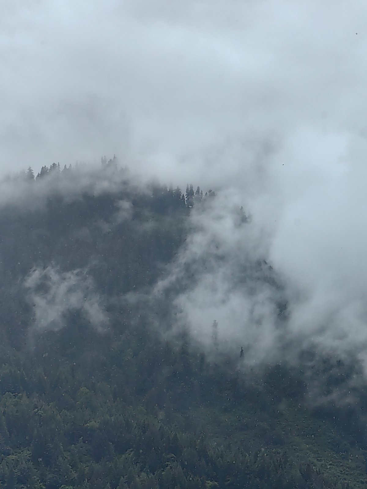 Cloudy morning in Vashisht — forests, fog, and village life