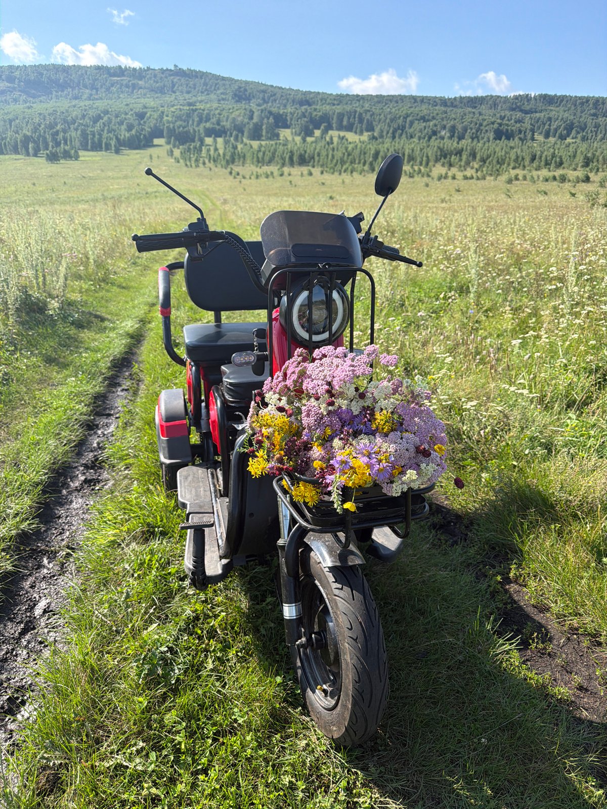 Wildflower haul on an e-scooter, somewhere sunny